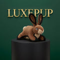 Plush Squeaky Toy