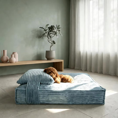 Cloud Comfort Dog Bed
