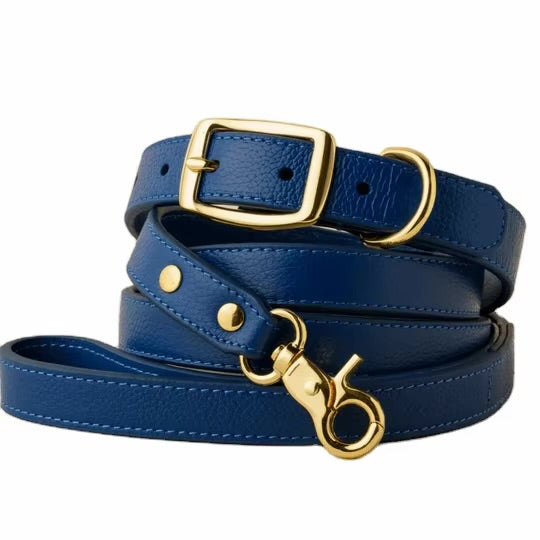 Premium Leather Collar