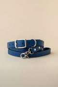 Premium Leather Collar