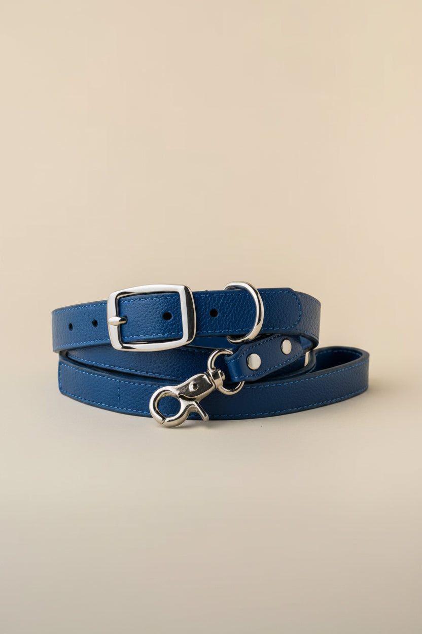 Premium Leather Collar